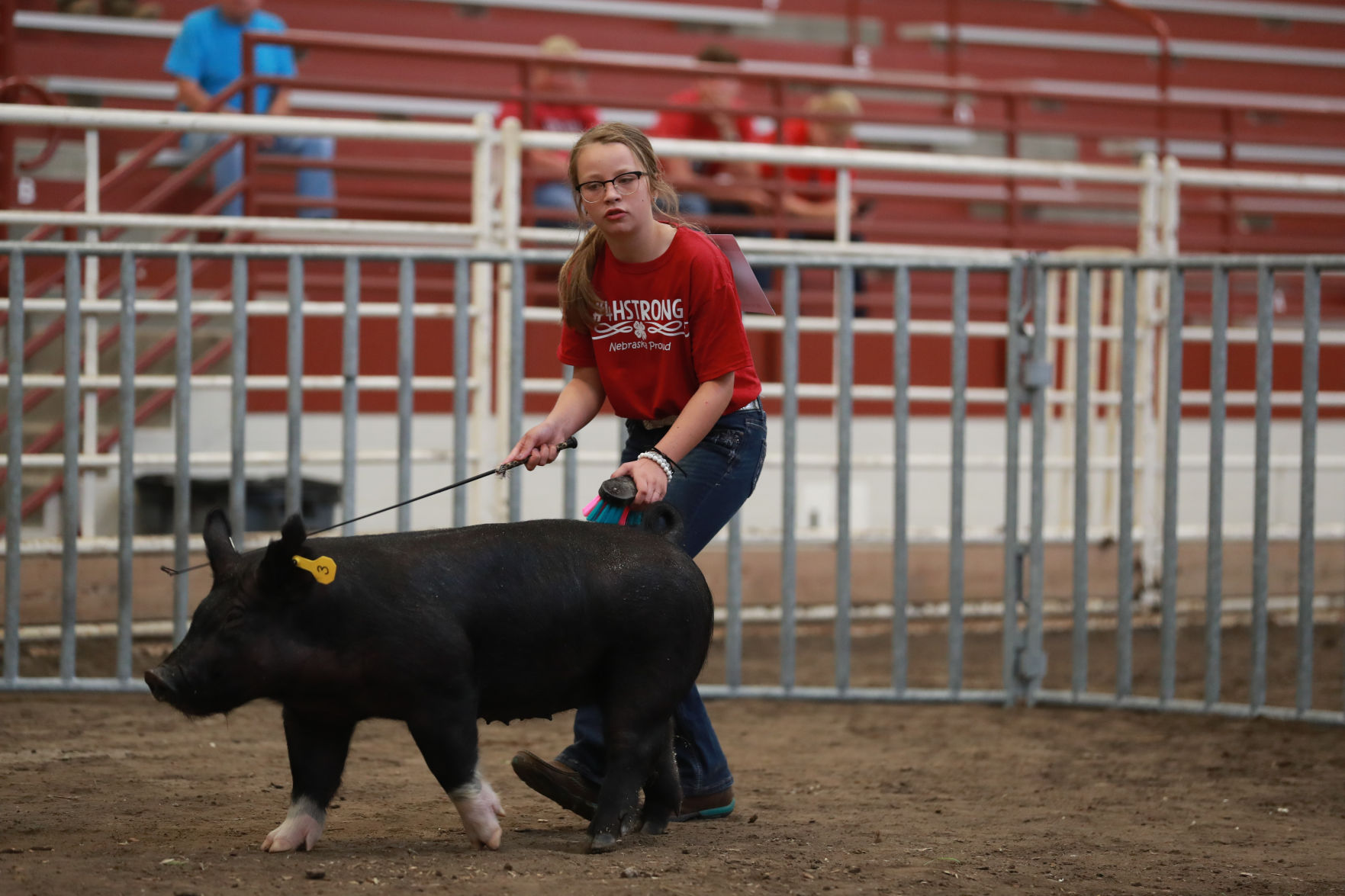 071119_HallCoFair09_bjs.JPG
